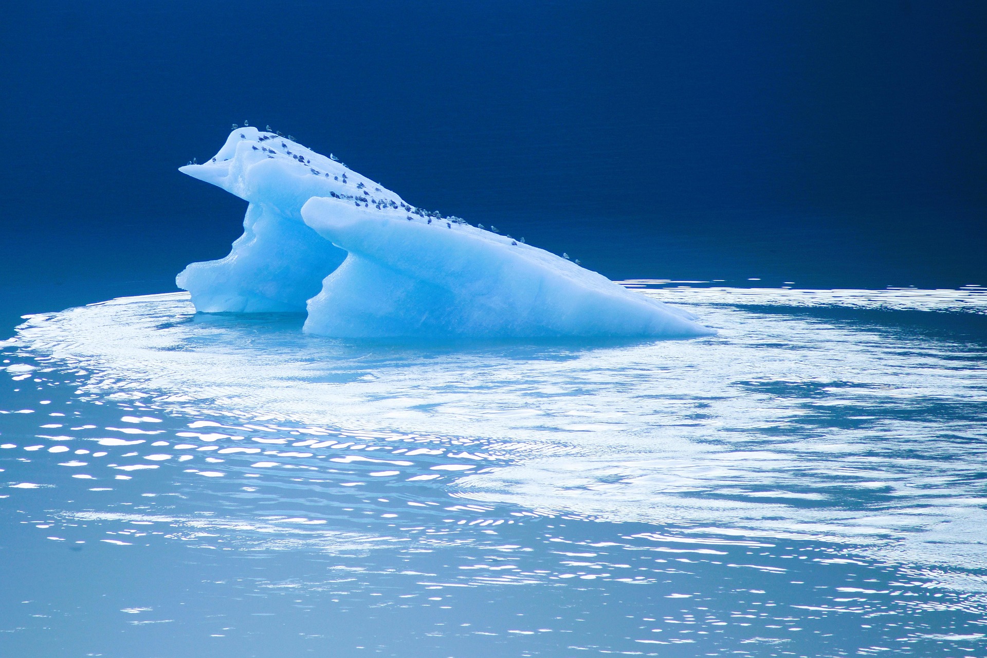 Image of an iceberg